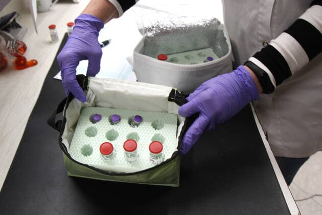 Elzach theme image Vaccine doses, Corona, Covid 19, Vaccine delivery at a pharmacy, Vaccine distribution to GPs and GP practices theme image Vaccine doses, Corona, Covid 19, Vaccine delivery at a pharmacy, Vaccine distributio Copyright: xFleigx xEibner-Pressefotox EP_dfg