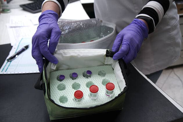 Elzach theme image Vaccine doses, Corona, Covid 19, Vaccine delivery at a pharmacy, Vaccine distribution to GPs and GP practices theme image Vaccine doses, Corona, Covid 19, Vaccine delivery at a pharmacy, Vaccine distributio Copyright: xFleigx xEibner-Pressefotox EP_dfg
