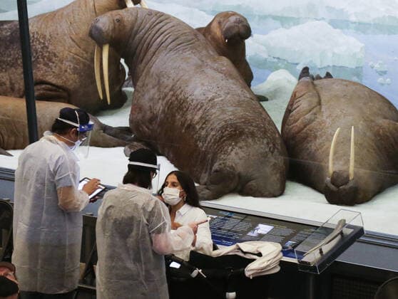 Coronavirus in den USA, Impfzentrum im American Museum of Natural History in New York Healthcare workers attends to a woman in the observation area after being vaccinated under the famous 94-foot-long model of a blue whale when the American Museum of Natural History is transformed into a mass vaccination site at the AMNH in New York City on Friday, April 23, 2021.  NYP20210423107 JohnxAngelillo