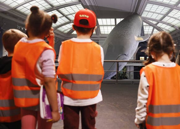 Coronavirus in den USA, Impfzentrum im American Museum of Natural History in New York Children watch the activity near where a bandaid has been placed on one of the two pectoral fins of the famous 94-foot-long model of a blue whale while healthcare workers attend to people who arrive to be vaccinated when the American Museum of Natural History is transformed into a mass vaccination site at the AMNH in New York City on Friday, April 23, 2021.  NYP20210423113 JohnxAngelillo