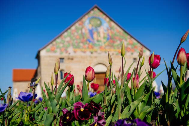 Bilder des Jahres 2021, News 04 April News Themen der Woche KW16 News Bilder des Tages Erfurt , 23.04.2021 , BUGA Erfurt 2021 , Die BUGA 2021 ist offiziell eröffnet Im Bild: BUGA2021, Neue Zierpflanzen auf dem Vorplatz der Peterskirche *** Erfurt , 23 04 2021 , BUGA Erfurt 2021 , The BUGA 2021 is officially opened In the picture BUGA2021, New ornamental plants on the forecourt of St. Peters Church