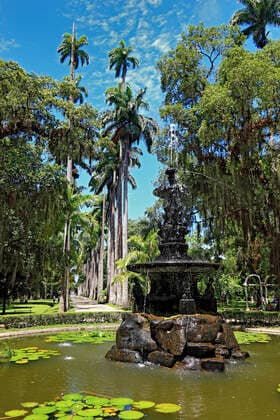 Im Botanischen Garten von Rio de Janeiro, Brasilien