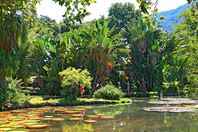 Im Botanischen Garten von Rio de Janeiro, Brasilien