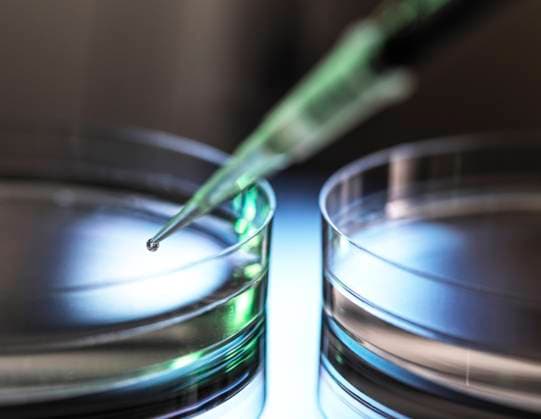 Pipetting sample into petri dish during medical experiment property released ABRF00874