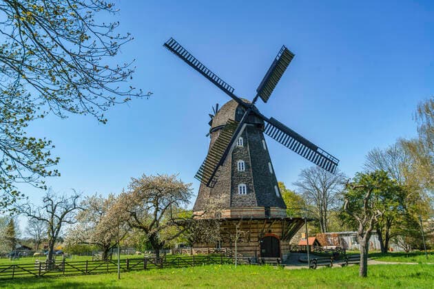 Britzer Mühle, Spring in Berlin, Tree blossom, Britz, Berlin, Germany, Europe