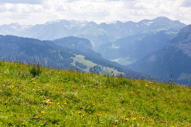 Bregenzerwald im Sommer Vorarlberg Österreich *** Bregenzerwald in summer Vorarlberg Austria 1065523868