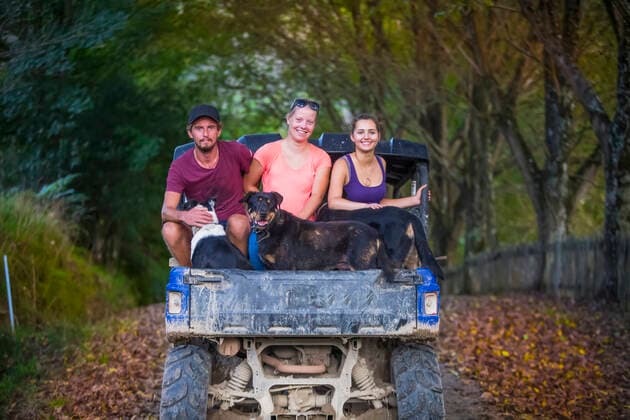 IMAGO Creative: Landleben - Alfresco, Draußen Three young adults sit in the back of a dune buggy with dogs after a muddy tour; Retaruke, Manawatu-Wanganui, New Zealand  Copyright: MicahxWright 33338996