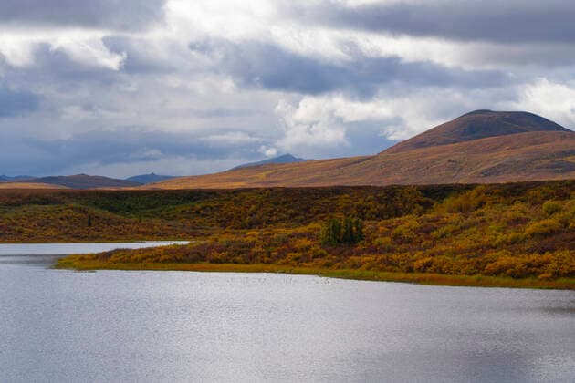 Dramatic mountain landscape with fall vegetation on the tundra and sunlight reflecting on a lake through a grey, cloudy sky; Dawson City, Yukon, Canada  Copyright: RobertxJ.xPolett 33343501