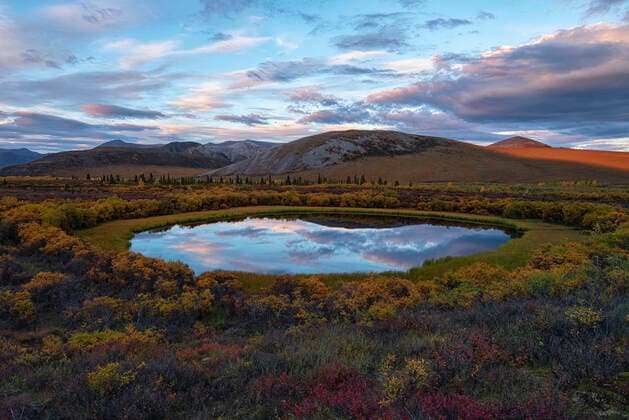 Dusk light reflecting the cloudy, blue sky in a pond in the middle of the autumn colored tundra near the Dempster Highway; Dawson City, Yukon, Canada  Copyright: RobertxJ.xPolett 33343541