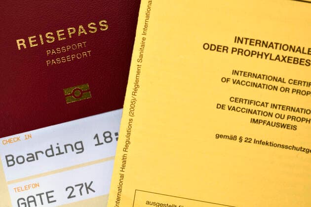 Symbol photo vaccination privileges, conventional German vaccination passport, boarding pass for air travel, passport, corona crisis, Germany coronavirus