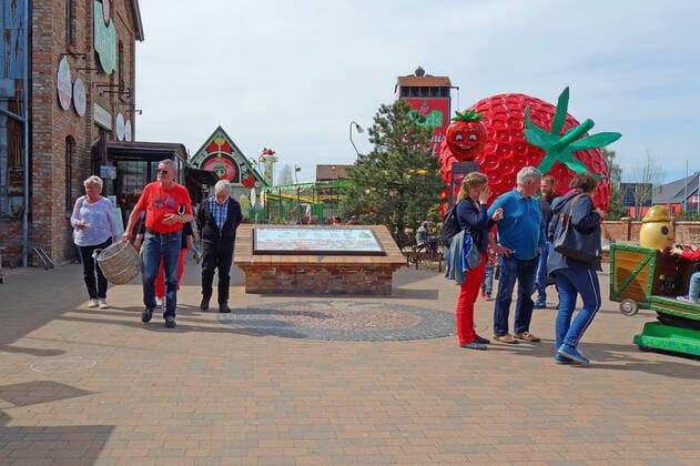 First day after coming into force of the relaxation of the Corona provision for vaccinated The summer temperatures have used on Sunday on the island of Usedom as here at the strawberry farm in Koserow many locals, day visitors and second home owners Seebad Koserow 09 05 2021 Lockdown