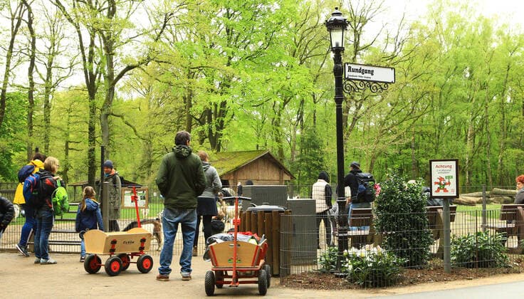 Visitors in the Black Mountains Game Park in Lower Saxony Rosengarten during the Coronavirus Pandemic Rosengarten Lower Saxony
