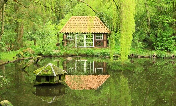 Lake in the Black Mountains Game Park in Lower Saxony Rosengarten during the Coronavirus Pandemic Rosengarten Lower Saxony