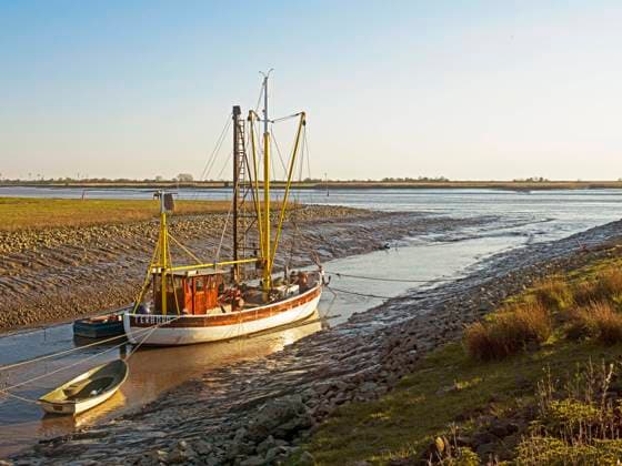  Fischkutter, Liegeplatz in der Muhde bei Terborg, Ems, Moormerland, Ostfriesland, Niedersachsen, Deutschland, Europa *** Fishing cutter, mooring in the Muhde near Terborg, Ems, Moormerland, East Frisia, Lower Saxony, Germany, Europe Copyright: imageBROKER/WernerxWulf iblwwu06742624.jpg
