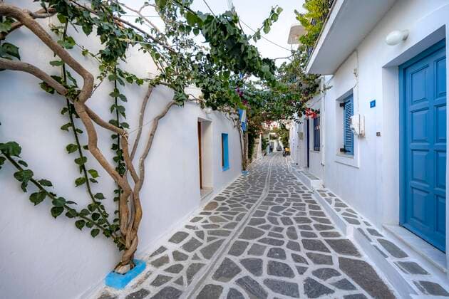 Small white alley with houses overgrown with clover plants, Parikia, Paros, Cyclades, Aegean Sea, Greece, Europe Copyright: imageBROKER/MaraxBrandl ibxmab06704853.jpg