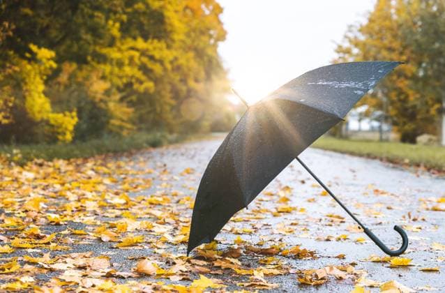 gersthofen, bavaria, germany - 23 october 2020: open umbrella in autumn park - autumn concept, sunshine after the rain