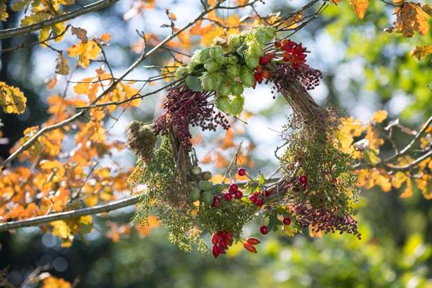 IMAGO Creative: Herbst, Herbstkränze aus gesammelten Naturmaterialien gebastelter Herbstkranz haengt an einem Eichenzweig autumn wreath made from collected natural materials hanging at an oak twig BLWS644123 *** autumn wreath made from collected natural materials hanging at an oak twig autumn wreath made from collected natural materials hanging at an oak twig BLWS644123 Copyright: xblickwinkel F.xHeckerx