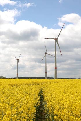 View on Thursday 20 05 2021 not far from Poggendorf County Western Pomerania Rügen on wind turbines in a rapeseed field Renewable energies will play an increasingly important role in the coming years Associated with this, the number of wind turbines will also continue to increase However, the storage of energy still poses major challenges for grid operator