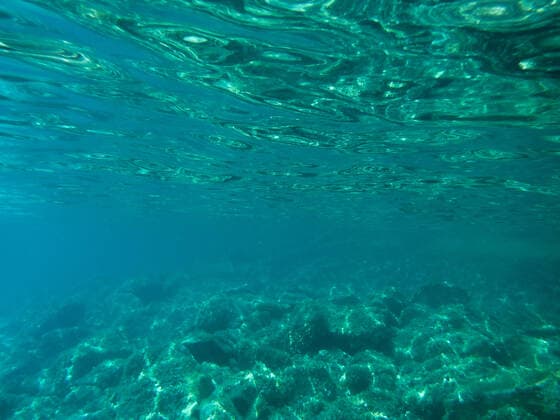 Clear turquoise water at Maddalena Archipelago in Sardinia Copyright: xx 20458552