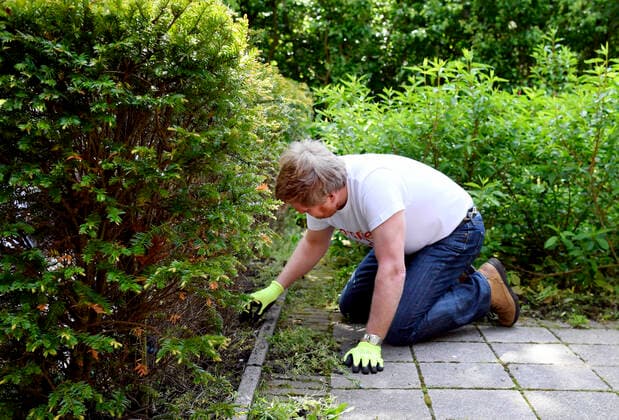 Bilder des Jahres 2021, Entertainment 05 Mai Entertainment Bilder des Tages 28-05-2021 Oegstgeest Queen Maxima and King Willem-Alexander voluntering for NLDoet by helping at the Cultuurhuis De Paulus, a place where people can meet each other, in the former Pauluskerk in Oegstgeest. Â  Copyright: xPPEx