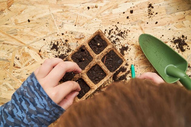 IMAGO Creative: NGO, Ausbildung f?r Kinder From above of crop anonymous kid with seed dispenser digging holes in biodegradable container with soil, Model released Copyright: xRamonxLopezx MR