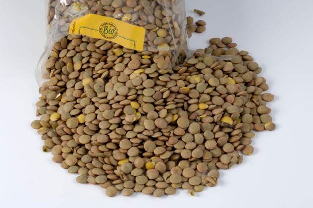IMAGO Nature: Unsere Erde, Klimawandel, Ernährung, Pflanzen der Zukunft, Linse Braune Linsen (Lens esculenta) aus Bio-Anbau *** Brown lentils Lens esculenta from organic cultivation Copyright: imageBROKER/O.xDiez ibldzo05146103.jpg