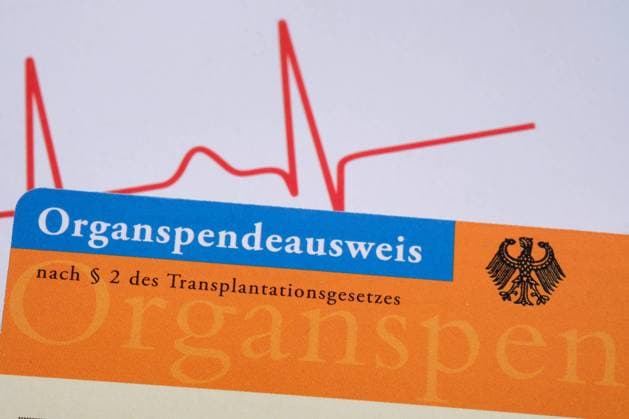 Entscheiden : ja oder nein . Der Organspendeausweis dokumentiert die persönliche Entscheidung zu einer Organspende. Siegsdorf Bayern Deutschland *** Decide yes or no The organ donor card documents the personal decision to donate an organ Siegsdorf Bavaria Germany Copyright: xRolfxPossx