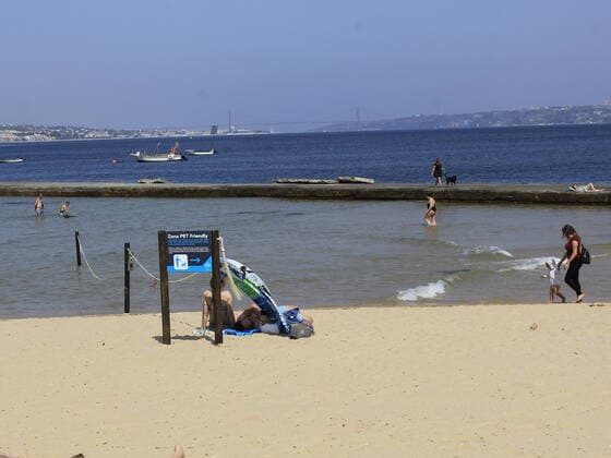 June 11, 2021, Lisbon, Portugal: Bathers enjoy a sunny day at Paco de Argos beach, which is in Oeiras district, on outskirts of Lisbon, on Friday (11). Place also allows presence of pets.  Copyright: xEdsonxdexSouzax