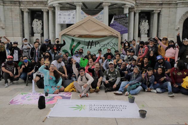 Marijuana Users March For Legalisation In Mexico Members of the Mexican Cannabis Movement and Planton 420 demonstrated outside the Palace of Fine Arts in Mexico City to demand the Supreme Court of Justice of the Nation, the fair regularisation and use of marijuana, its various types of cultivation; from self-cultivation for personal consumption, to cultivation in solidarity, respect for free development, freedom of association and non-criminalisation. Mexico City Mexico vieyra-notitle210614_np1rf  Copyright: xGerardoxVieyrax