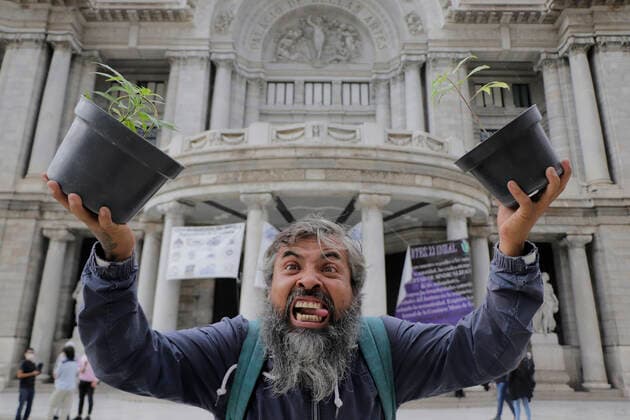 Marijuana Users March For Legalisation In Mexico A member of the Mexican Cannabis Movement and Planton 420 holds two pots with marijuana plants outside the Palace of Fine Arts in Mexico City to demand the Supreme Court of Justice of the Nation, the fair regularisation and use of marijuana, its various types of cultivation; from self-cultivation for personal consumption, to cultivation in solidarity, respect for free development, freedom of association and non-criminalisation. Mexico City Mexico vieyra-notitle210614_np014  Copyright: xGerardoxVieyrax