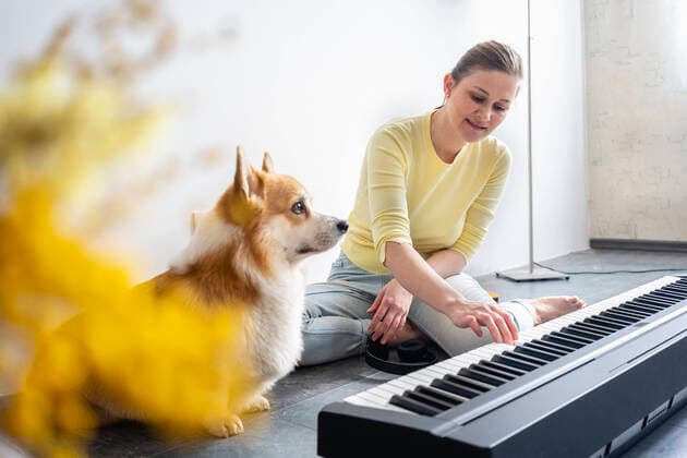 Woman practicing piano by dog looking away at home model released Symbolfoto property released VPIF04034