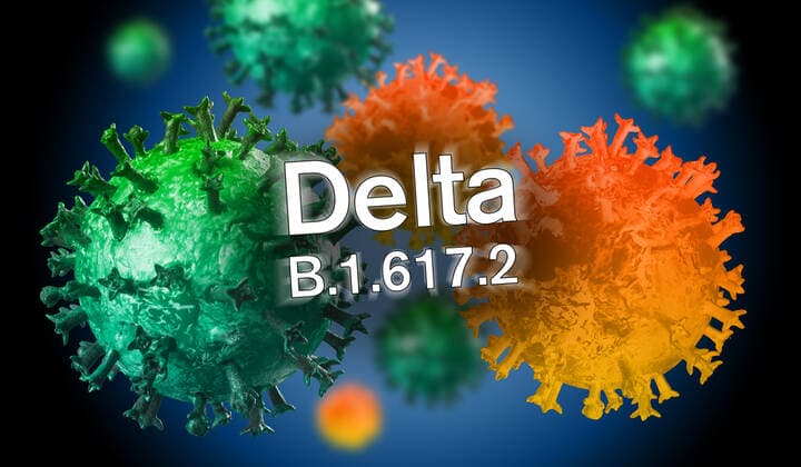 Illustration of the Indian coronavirus mutation Delta B 1 617 2 1028901502