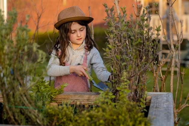 IMAGO Creative: Garten, Anbau im Hochbeet Kind bei der Arbeit am Hochbeet *** Child working on raised bed Copyright: imageBROKER/MichaelaxBegsteiger ibxbeg06741486.jpg