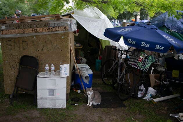 Kanada, Proteste bei Auflösung eines Obdachlosen-Camp in Toronto June 22, 2021, Toronto, on, Canada: Susan Gibson s cat sits at the entrance of her tent during an eviction process at a homeless encampment in Toronto on Tuesday, June 22, 2021. Toronto Canada  - ZUMAc35_ 20210622_zaf_c35_131 Copyright: xChrisxYoungx