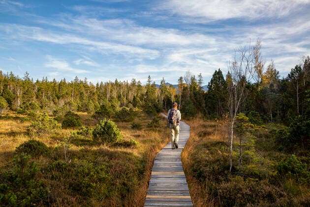 Male traveler walking on boardwalk at Murnauer Moos during sunny day, Bavaria, Germany model released Symbolfoto MAMF01879