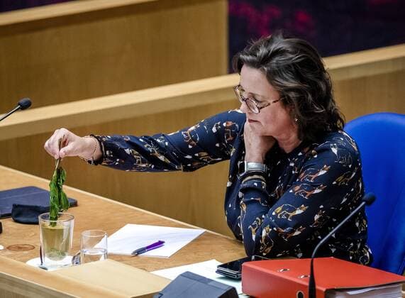 THE HAGUE Tamara van Ark, outgoing minister for Medical Care, in the House of Representatives during a debate about the developments surrounding the corona virus REMKO DE WAAL W  Copyright: xHollandsexHoogtex xxANPx x432981710x