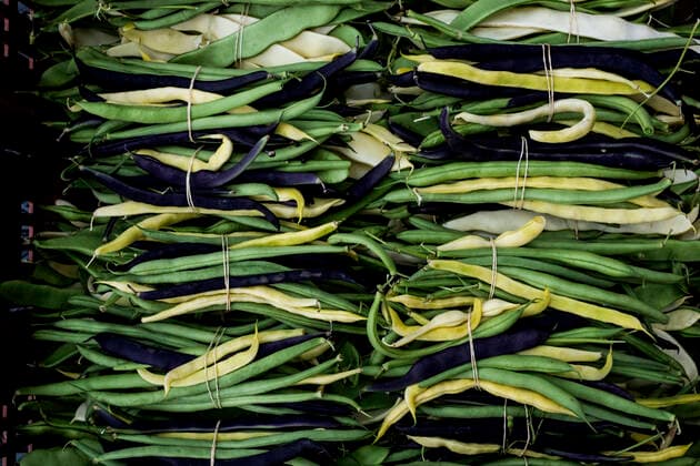 IMAGO Creative: Clickbait, Rezepte und Kochen High angle close up of freshly picked green, yellow and purple beans. Farm,United Kingdom,High angle close up of freshly picked green, yellow and purple beans.  High angle close up of freshly picked green, yellow and purple beans.