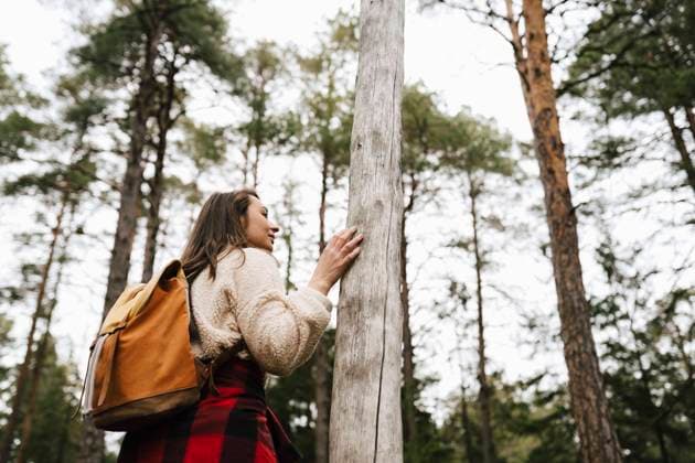 Female hiker standing by tree in forest Sweden, Stockholm Archipelago, model released Copyright: xMaskotx , MA87306