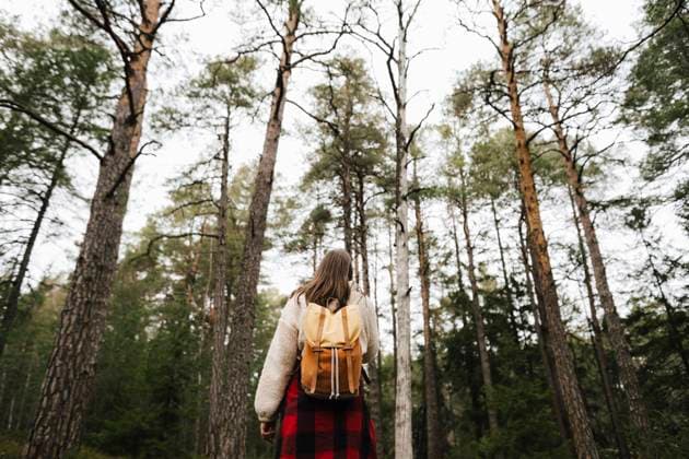 IMAGO Creative: Gesundheit, Burnout Rear view of female hiker exploring forest during vacation Sweden, Stockholm Archipelago, model released Copyright: xMaskotx , MA87307