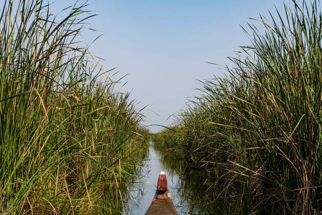 The Mesopotamian Marshes, The Ahwar of Southern Iraq, UNESCO World Heritage Site, Iraq, Middle East Copyright: MichaelxRunkel 1184-5735