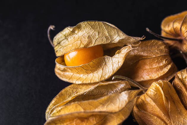 Exotic orange Peruvian groundcherry placed on black table in studio Copyright: xLauraxBeneditox Model Released