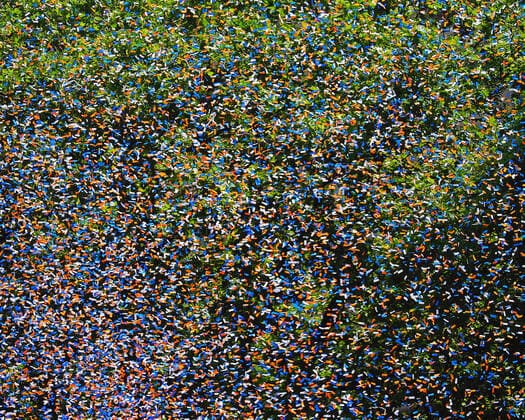 Bilder des Jahres 2021, News 07 Juli News Bilder des Tages July 7, 2021, New York, New York, USA: Confetti flies thru the air as essential workers are honored during the Hometown Heroes Ticker-tape Parade along the Canyon of Heroes on July 7, 2021 in New York. The parade included a variety of different floats, representing the groups of essential workers who served this city heroically throughout the pandemic. New York USA - ZUMAr334 20210707_znp_r334_024 Copyright: xDebraxL.xRothenbergx