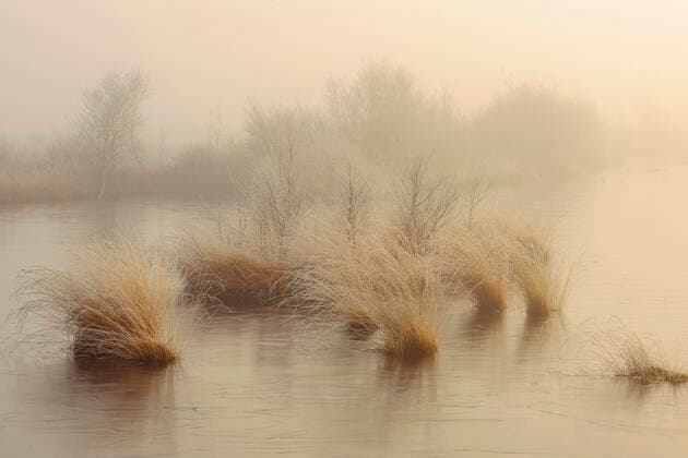 Creative Highlights World Goldenstedter Moor im Morgenlicht im Winter, Deutschland, Niedersachsen, Goldenstedt Goldenstedt Moor in the morning light in winter, Germany, Lower Saxony, Goldenstedt BLWS646213 *** Goldenstedt Moor in the morning light in winter, Germany, Lower Saxony, Goldenstedt Goldenstedt Moor in the morning light in winter, Germany, Lower Saxony, Goldenstedt BLWS646213 Copyright: xblickwinkel McPHOTO W.xRolfesx