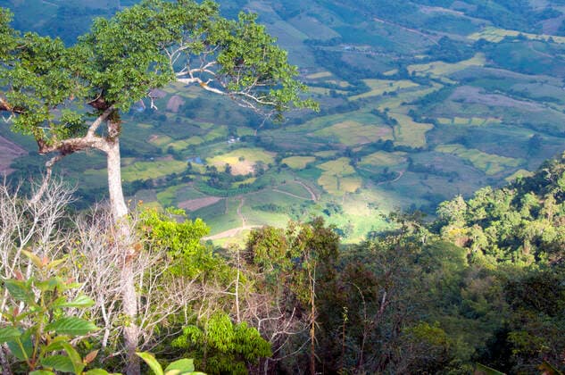 Loei (Thai: à¹Äà¸¥à¸¢) Province is located in Thailand s upper North-East. Neighboring provinces are (from east clockwise) Nong Khai, Udon Thani, Nongbua Lamphu, Khon Kaen, Phetchabun, Phitsanulok. In the north it borders Xaignabouli and Vientiane Provinces of Laos.<br ><br > The province is covered with low mountains, while the capital Loei is located in a fertile basin. The Loei River, which flows through the province, is a tributary of the Mekong which, together with the smaller Hueang River, forms the northern boundary of the province with neighboring Laos.<br ><br > Although temperatures in the hot season (April-May) can be more than 40 degrees Celsius, the province is the only one in Thailand where temperatures regularly drops below xCPAxMediaxCo.xLtd.x Copyright: xDavidxHenleyx