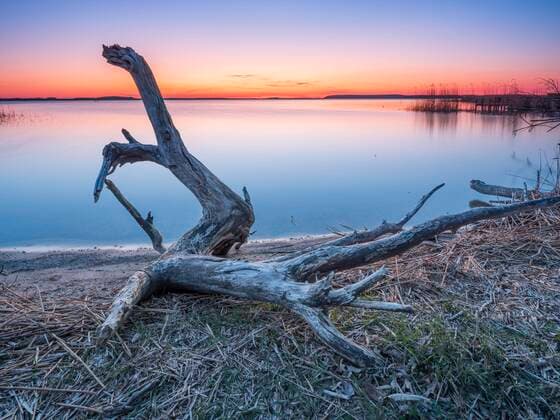  Badestelle mit Treibholz am Peenestrom bei Abendrot, Lieper Winkel, Insel Usedom, Mecklenburg-Vorpommern, Deutschland, Europa *** Bathing place with driftwood at the Peenestrom at sunset, Lieper Winkel, Usedom Island, Mecklenburg-Western Pomerania, Germany, Europe Copyright: imageBROKER/AndreasxVitting iblavi06968143.jpg
