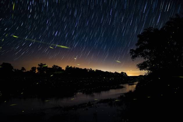 IMAGO Nature: Unsere Erde, Lichtverschmutzung in den Nächten bedroht Glühwürmchen-Populationen A trail of fireflies at dusk above a river Londolozi Game Reserve,South Africa,A trail of fireflies at dusk above a river  A trail of fireflies at dusk above a river