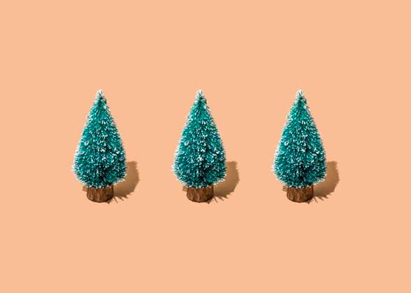Studio shot of three coniferous trees standing against beige background FLMF00513