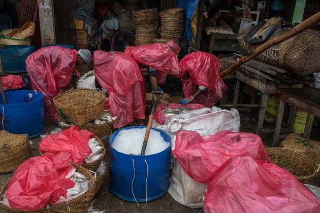Bangladesh: After the 65-day long ban on catching fish After a 65-day ban, fishermen have started fishing in the Bay of Bengal. The government has put in the restriction since 2015 to ensure proper breeding. Fishers across the country have ventured out with their net after the 65-day long ban on catching Hilsa at sea.These photos were taken from Chattogram city’s Fishery Ghat area. Chittagong 84 Bangladesh Copyright: ShaownxChowdhury