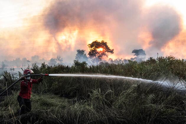 IMAGO Nature: Unsere Erde, Energiequellen, Torf Peat Fires In Ogan Ilir, SouPeat Fires In Ogan Ilir, South Sumatra Peatland fires occurred on Wednesday, July 28, 2021 in Sungai Rambutan village, Ogan Ilir Regency, South Sumatra. This peatland burned at 4.00 pm Ogan Ilir Regency Indonesia prasetya-notitle210728_npegG  Copyright: xSigitxPrasetyax