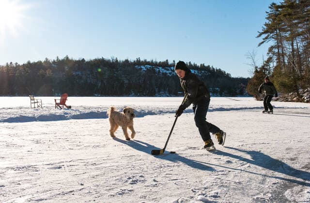 IMAGO Creative, Winter, Winterspaß, Eishockey #2 Father and son playing hockey on outdoor rink on frozen Canadian lake. Kingston, ON, Canada CR_DOHO210212G-644455-01 ,model released, Symbolfoto